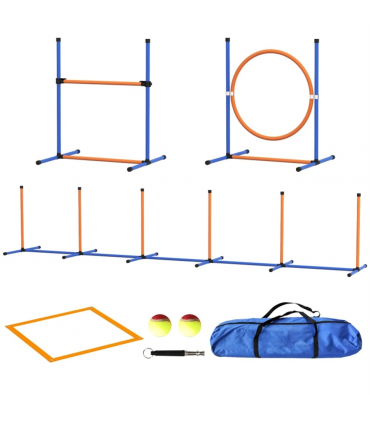 Dog agility training equipment