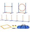Dog agility training equipment