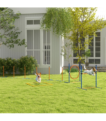 Dog agility training equipment