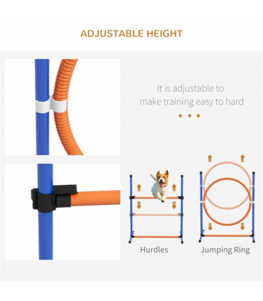 Dog agility training equipment