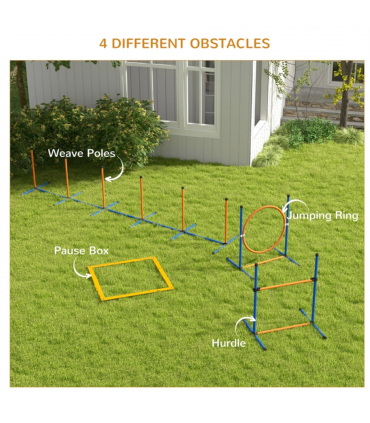 Dog agility training equipment