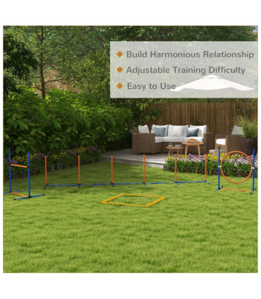 Dog agility training equipment