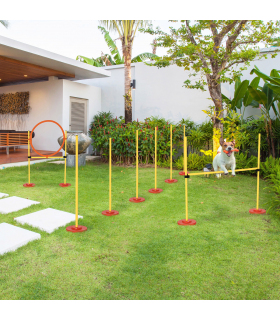 Dog agility training equipment