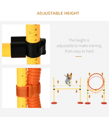 Dog agility training equipment