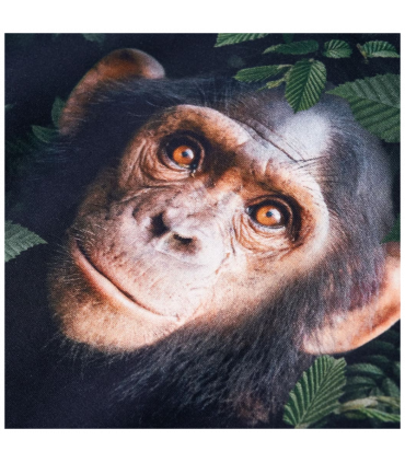 Kids' Sweatshirt Dark Khaki 104