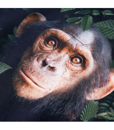 Kids' Sweatshirt Dark Khaki 116