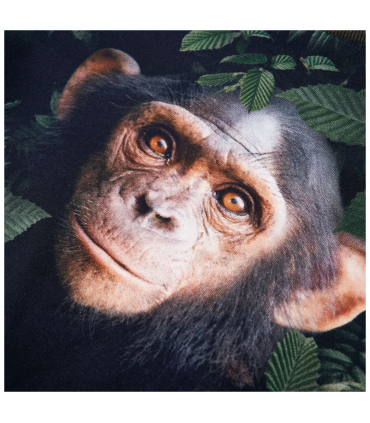 Kids' Sweatshirt Khaki 116