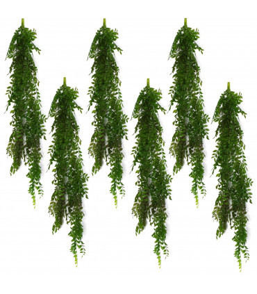 6 x 100cm Hanging String of Pearls Fern Plant Dark Green