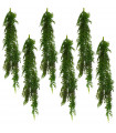 6 x 100cm Hanging String of Pearls Fern Plant Dark Green