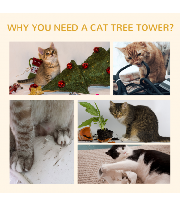 Large Cat Tree Condo