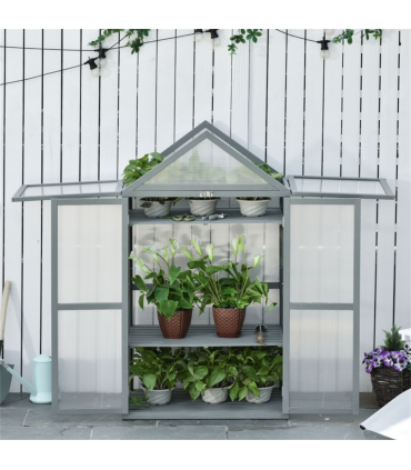 Mini Greenhouse