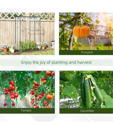 Mini Walk-in Greenhouse