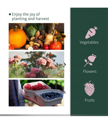 Mini Walk-in Greenhouse