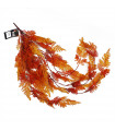 100cm Artificial Hanging Maidenhair Fern Plant Autumn Orange