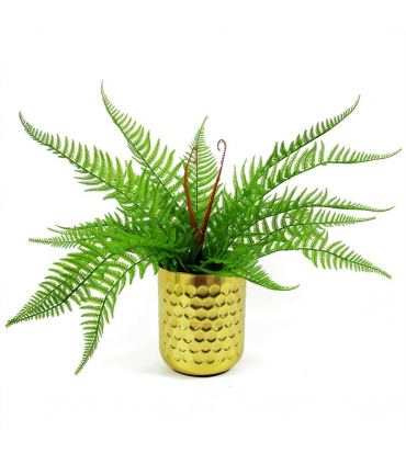 60cm Artificial Bushy Dixie Wood Fern Dark Green Plant