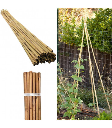 Bamboo Canes 4ft (120 cm) Natural Bamboo 10-12 mm - Versatile 30 x 4ft Sticks