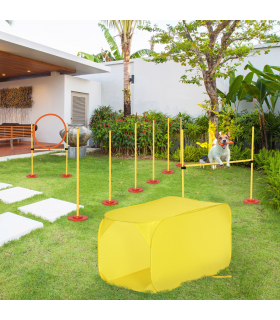 Dog agility training equipment