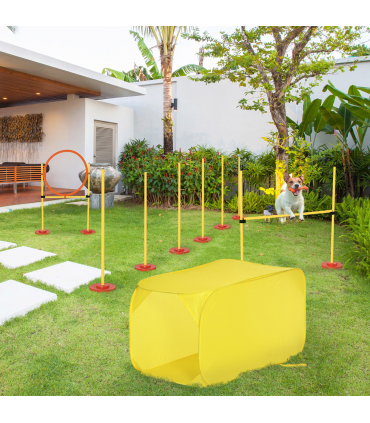 Dog agility training equipment