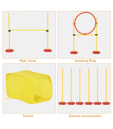 Dog agility training equipment