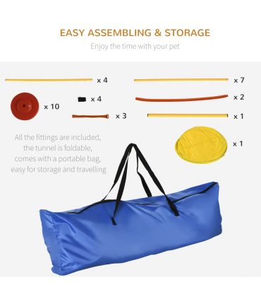 Dog agility training equipment