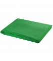 vidaXL Backdrop Cotton Green 500x300 cm Chroma Key