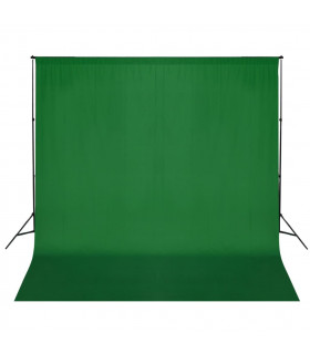 vidaXL Backdrop Support System 600x300 cm Green