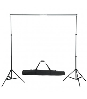vidaXL Backdrop Support System 600x300 cm Green