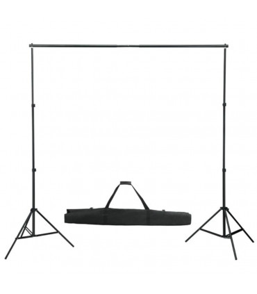 vidaXL Backdrop Support System 600x300 cm White