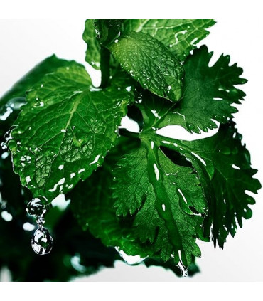 Davidoff Cool Water Deodorant Spray 150ml