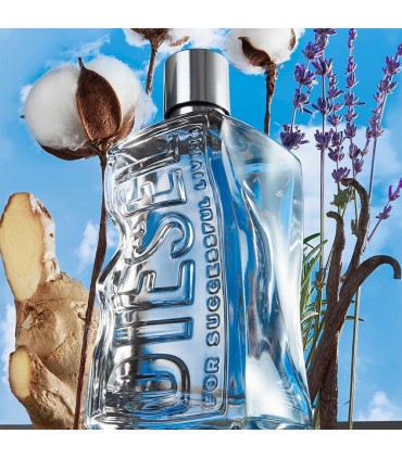 Diesel D  Eau De Toilette Spray 50ml
