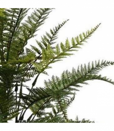Pack of 6 x 78cm Fire Retardant Artificial Fern Foliage Branch
