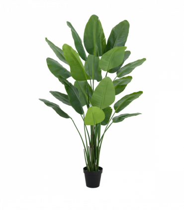 200cm Traveller Palm Artificial Tree Realistic