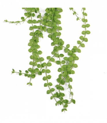 Pack of 6 x Hanging UV and Fire Resistant Artificial Plant Pearl String 92cm