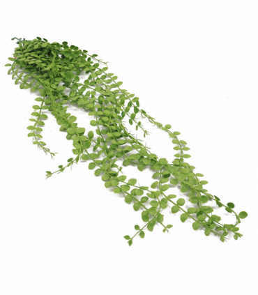 Pack of 6 x Hanging UV and Fire Resistant Artificial Plant Pearl String 92cm