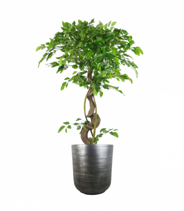 39cm x 33cm Coya Silver Ridged Planter Large Composite Plant Pot