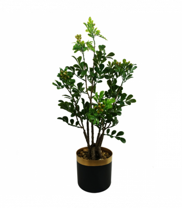 60cm Artificial Aglaia Odorata Bonsai Ficus Tree