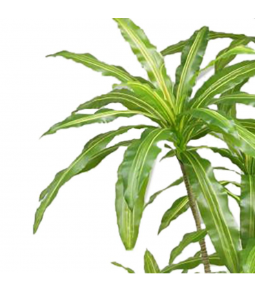 180cm Striped Dracaena Realistic Artificial Tree
