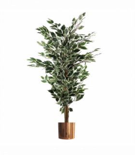 130cm Variegated White/Green Bushy Ficus Tree Copper Metal Planter