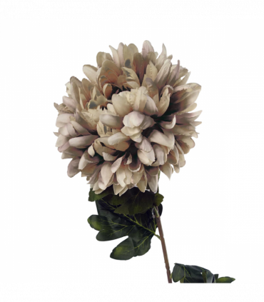 75cm Extra Large Reflex Chrysanthemum - Mushroom