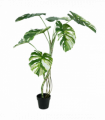 120cm Variegated Monstera Realistic Artificial Tree