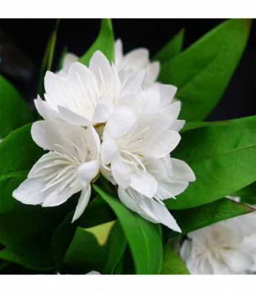 3x 18cm Artificial Freesia Plants Pink, White, Blue Flowering