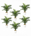 Pack of 6 x 50cm Artificial Mini Palm Tree