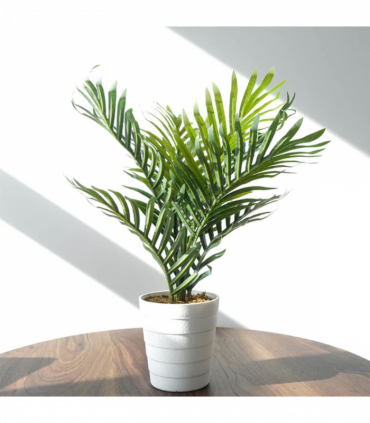 Pack of 6 x 50cm Artificial Mini Palm Tree
