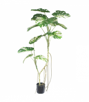 180cm Variegated Monstera Realistic Artificial Tree