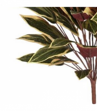 90cm Fire Retardant Caladium Bush with white edge x15w/49Lvs