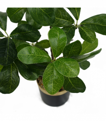 60cm Artificial Tropical Bonsai Ficus Tree