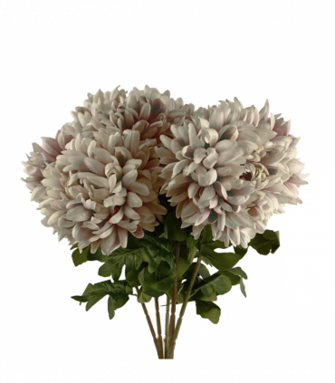 Pack of 6 x 75cm Extra Large Reflex Chrysanthemum - Mushroom