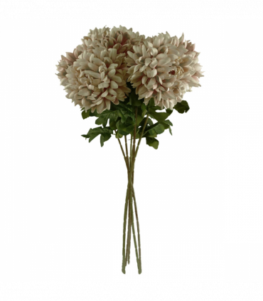 Pack of 6 x 75cm Extra Large Reflex Chrysanthemum - Mushroom