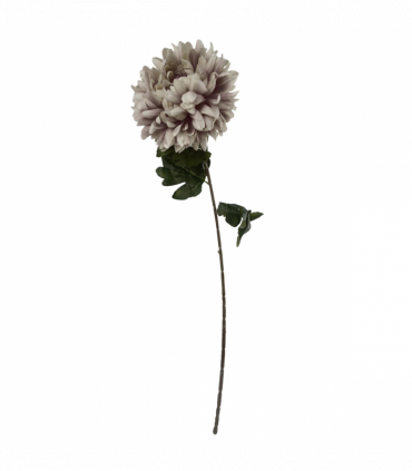 Pack of 6 x 75cm Extra Large Reflex Chrysanthemum - Mushroom