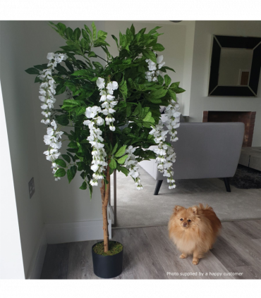 130cm Luxury Artificial Wisteria Tree White Flowers - Premium Range Silver Metal Planter